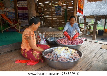 HSIPAW, MYANMAR - FEB 19, 2015 - Village women preparing large pot of fermented sour fish for a festival,  Hsipaw,  Myanmar (Burma)