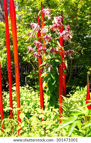 SEATTLE - JUL 23, 2015 - Red blown glass tubes rise among lilies in the  Chihuly Garden and Glass Museum,  Seattle, Washington
