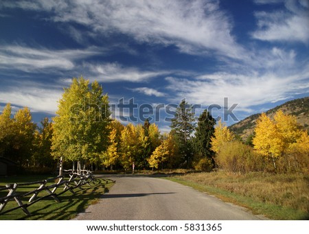 Autumn road, Golden aspens,	Moose - Wilson Road, Teton village,	Grand Teton National Park,	Wyoming