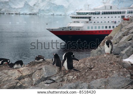 Gentoo penguin rookery with cruise ship anchored in the bay,	[Pygoscelis papua]	Neko Harbor, Andvord Bay,	Antarctica