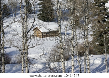 Old western cabin in snow with aspens,		Cordillera,	Colorado