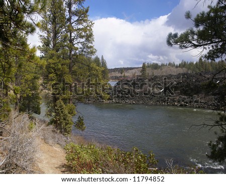 Panorama, ponderosa pines and river canyon,		Deschutes River trail,	Central Oregon