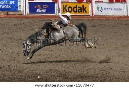 Cowboy on bucking bronco, 	Calgary Stampede,	Alberta	Canada