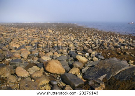 Granite pebbles, rounded by the ocean		Cable Crossing,	Mount Desert Island, Acadia National park, Maine, New England