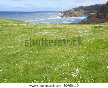 Rolling green meadows and Pacific Ocean,  near Otter Rocks,  Oregon Coast
