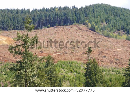 Clear cut logging slope,  just outside Willamette National Forest,  Central Oregon Cascades