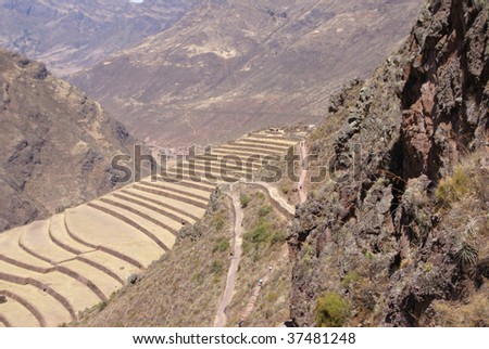 Inca Fields