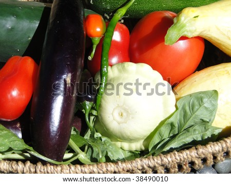 Summer bounty - Fresh vegetables in a woven basket   Seattle garden, Pacific Northwest