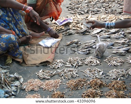 Dried fish for sale in market  in Orissa,   India