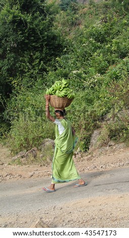 ORISSA, INDIA - NOVEMBER 11: Woman in green sari carries green bananas to  weekly market on November 11, 2009 in Orissa, India.