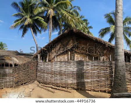Thatched huts and palm trees in a tribal village in   Orissa, India