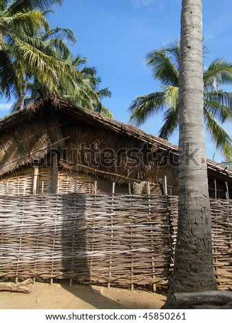 Thatched huts and palm trees in a tribal village in   Orissa, India