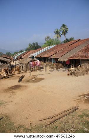 Homes and cattle of a tribal village in  Orissa, India