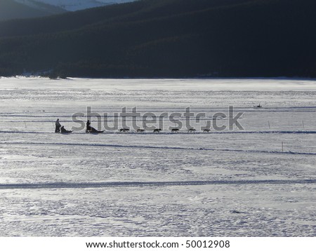 dog sledding colorado