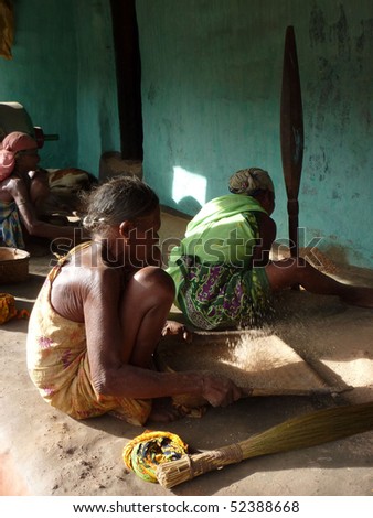 ORISSA,  INDIA - Nov 11 - Old village women thresh rice to remove chaff on Nov 11, 2009 in Orissa, India
