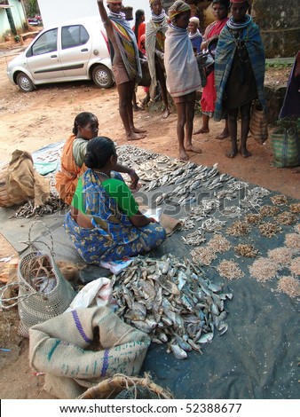 ORISSA,  INDIA - Nov 12 -Tribal woman sells dried fish  in weekly market in Ankadeli, Orissa in India