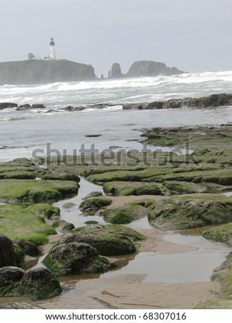 Low tide, tide pools, barnacle and mussel covered rocks,Oregon Coast