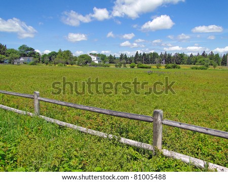 Rail fence and open meadow on Atlantic Ocean coast, on Mount Desert Island, Acadia National Park,Maine