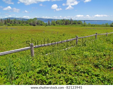 Rail fence and open meadow on Atlantic Ocean coast, on Mount Desert Island, Acadia National Park,Maine