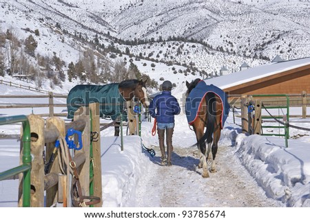 Groom walking horse to stables on crisp snowy winter morning,Cordillera,Colorado