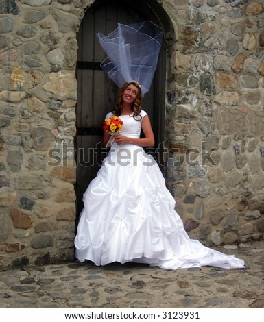 A bride\'s veil blowing in the wind