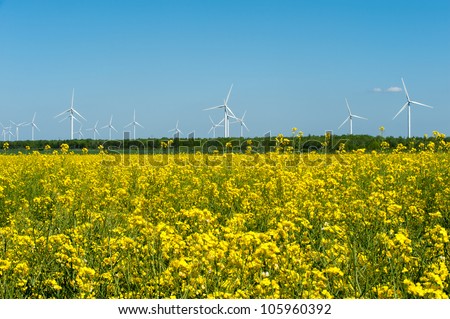 Eco farm of wind turbines close to rape field France Europe