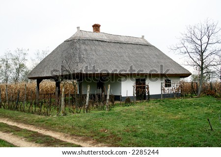 wine-cellar from hungary. this place is a little old wine-country. old mud-hut (made of adobe) buildings with thatched roof!