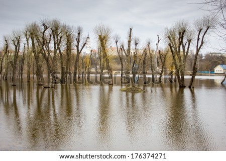 Trees reflection on water, flooded during the spring flood.