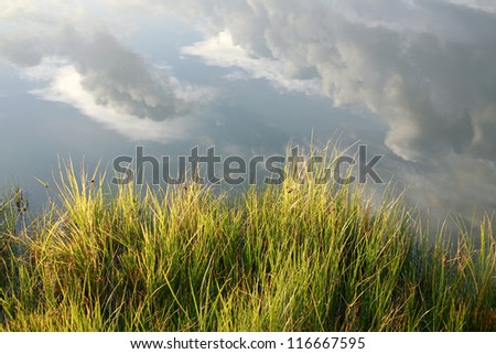 Idyllic nature background of green grass and clouds in water reflections