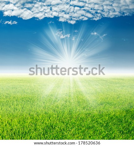 Spring landscape, green grass under the rays of the rising sun on a blue sky and clouds