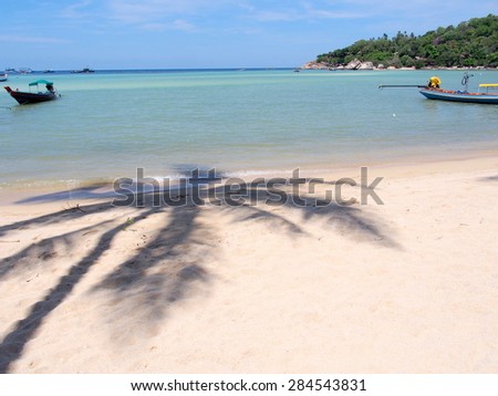 Shadow of the palm tree on the beach