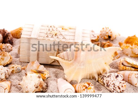 Background with seashells and treasure chest with copy space