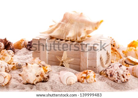 Background with seashells and treasure chest with copy space
