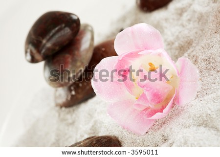 Nature element - sand, flowers and stones