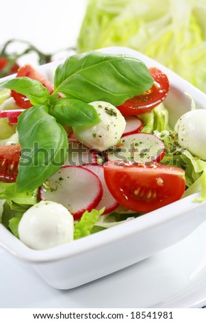 Vegetable salad with low calorie - healthy eating