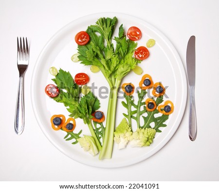 Healthy+eating+plate