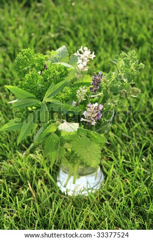 Fresh herbs from garden as bouquet in the grass