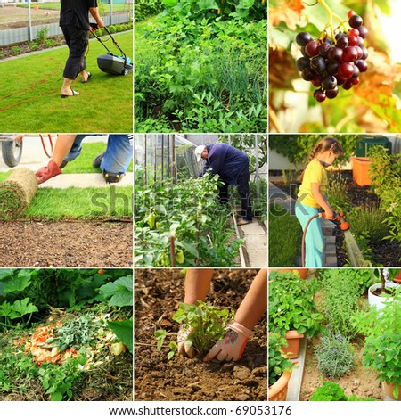 Collection of garden images - composting, cutting grass, watering,