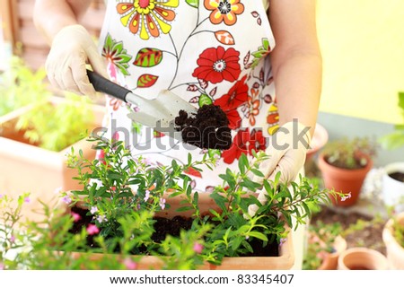 Elderly woman replanting flowers for better growth
