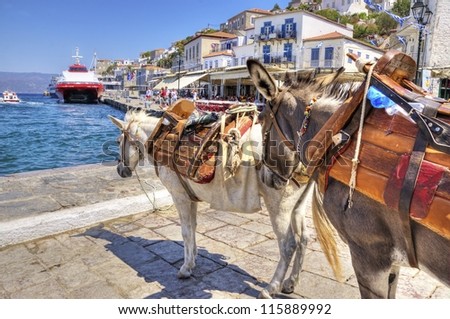 Two donkeys at the Greek island, Hydra. They are the only means of transport on the island, no cars are allowed.