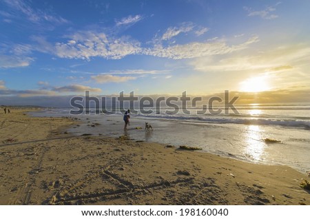 The Pacific beach in San Diego, Southern California, in the United States of America at sunset. A view of a man holding a little child and a dog playing on the golden sandy coast at the ocean.