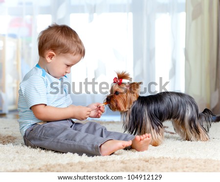 cute kid feeding pet dog york