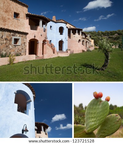 A typical italian house with garden and a prickly pear cactus. Photographed from the street. Idea for Real estate concept or Rent.