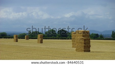 Several square hay bails stacked in a field