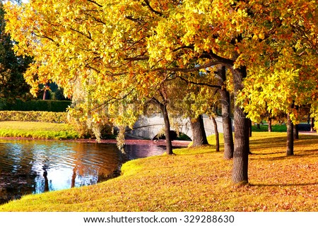 Beautiful autumn forest in park \'Catherine Palace\' Pushkin, Saint Petersburg, Russia