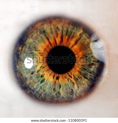 Macro Human Eye