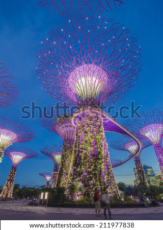 SINGAPORE -MAY12: Futuristic view of amazing illumination at Garden by the Bay on May 12, 2014 in Singapore. Night light show at Supertree Groveis is main Marina Bay Sands district tourist attraction