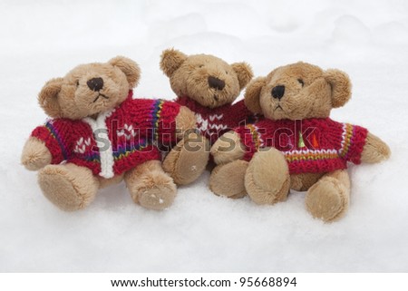 Teddy bears with colourful knitted jumpers in the snow