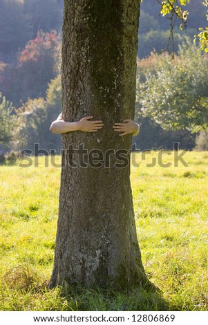 Woman embracing a tree in a meadow