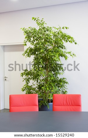 Two red chairs in a meeting room with green plant and white door in the background